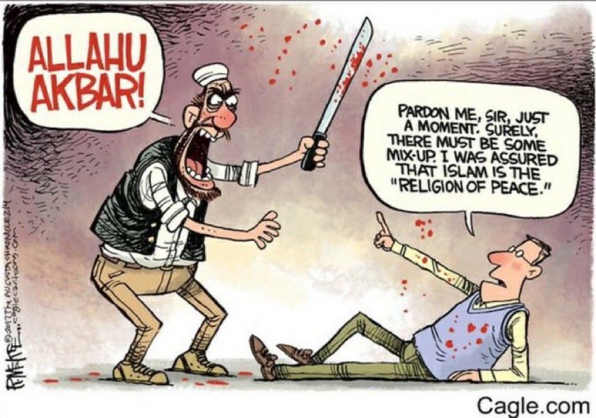 STEVE34019183's tweet photo. @muhammadshehad2 You start wars and then cry when you get killed. Surrender, release the hostages and the war ends. You don't want peace. https://t.co/jkW1kihvOP