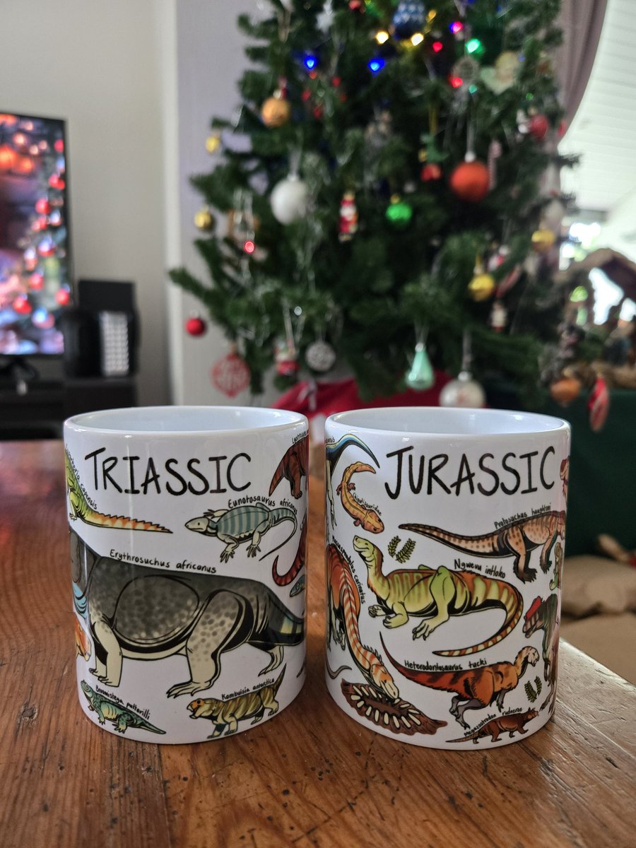 Kimi Chapelle tweet media