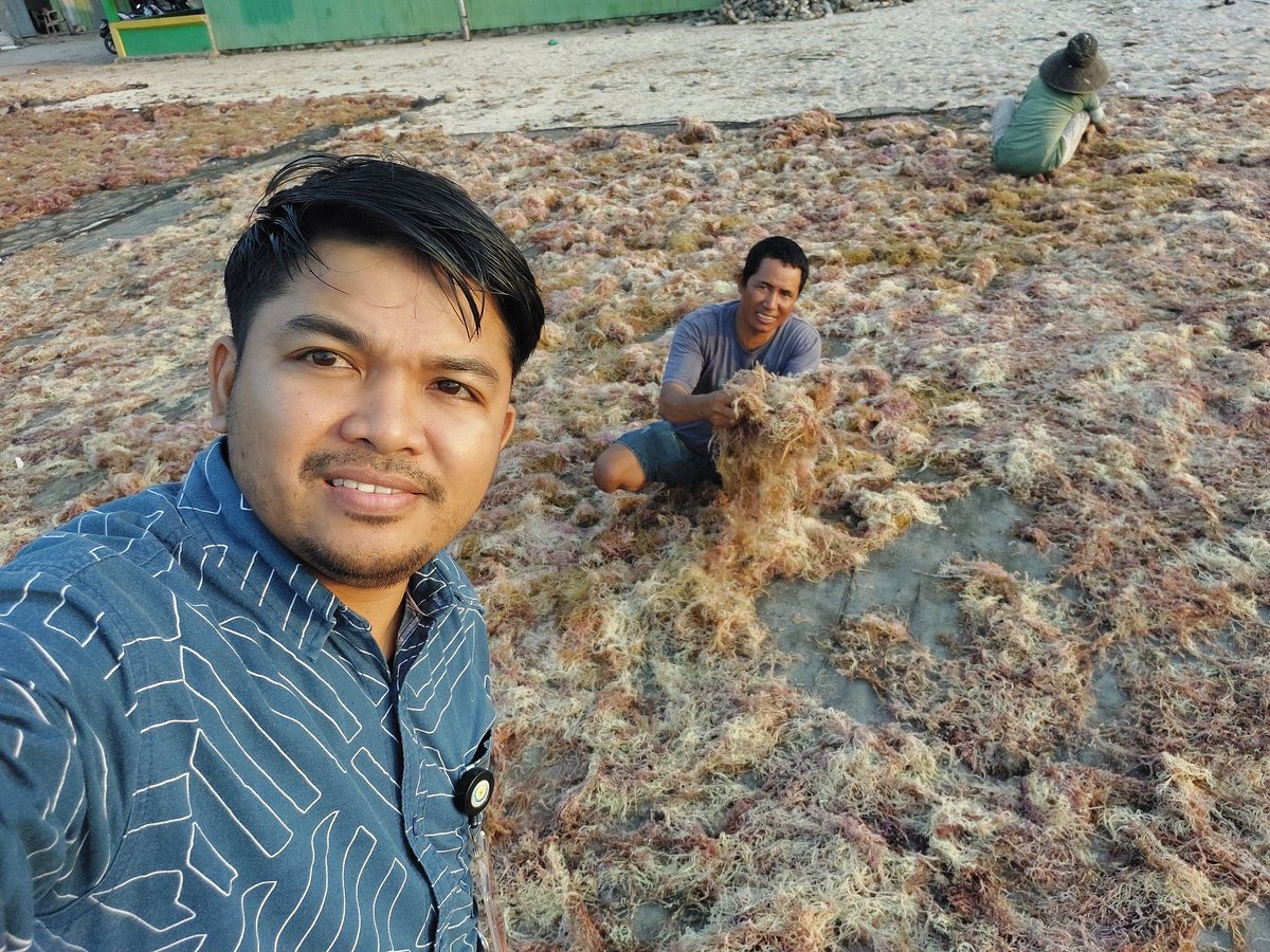 Hasriandi Fishery tweet media