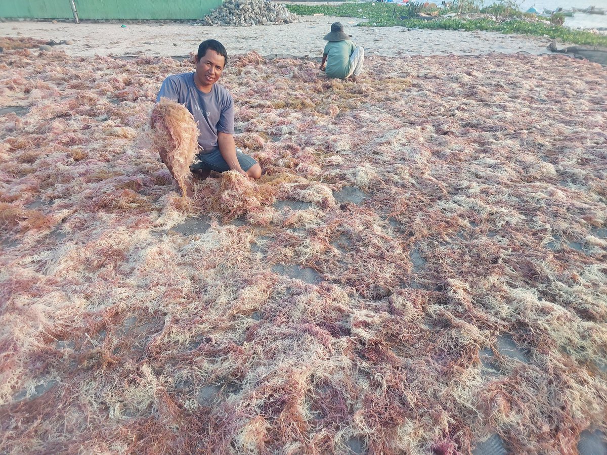 Hasriandi Fishery tweet media