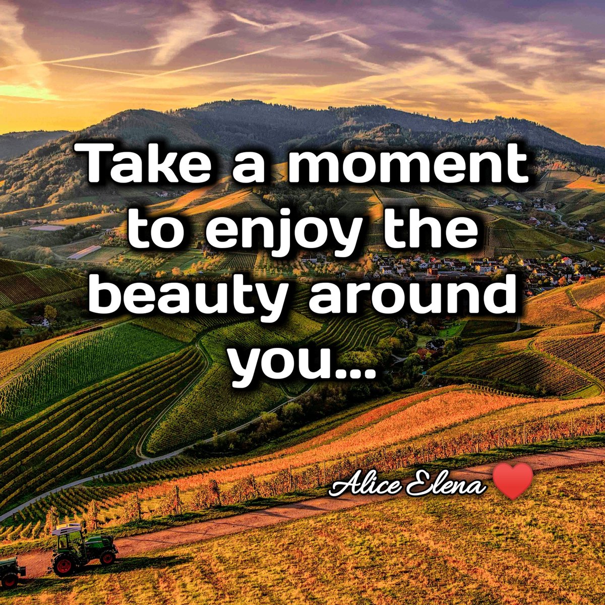 Enjoy The Beauty Of Nature 🍄‍🟫