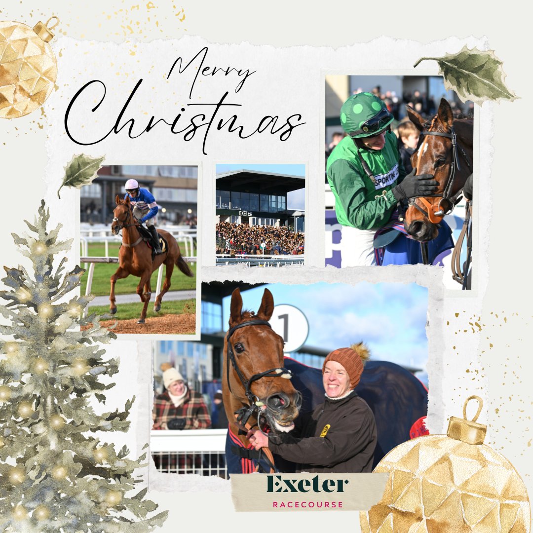 Exeter Racecourse tweet media