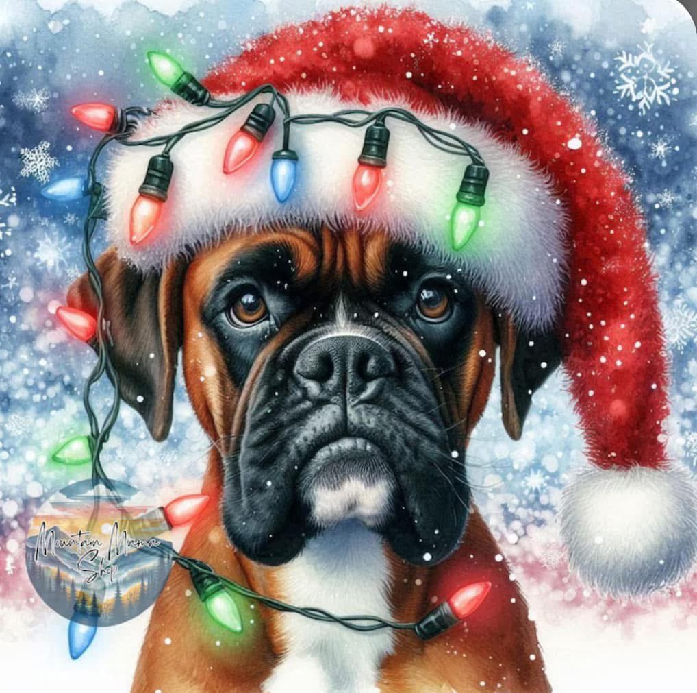 Merry Christmas everyone