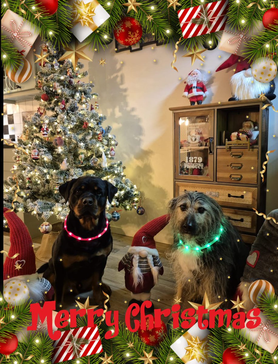 CwiceAye's tweet photo. Merry Christmas!!! ❄️☃️🎄🎅🏻🎁😎 https://t.co/j9fYrgS6Fp