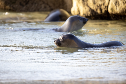 In the current crypto trading landscape, several key challenges can be effectively addressed with AI technology. As to onboarding, the process of getting new users started is often complicated and intimidating.