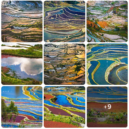 云南省红河州，农耕文明奇观元阳梯田，波光粼粼的梯田有着最美的曲线，一级级层层叠叠延绵而下，如同丝绸般蜿蜒盘旋在哀牢山间，形成一幅幅绚丽多彩的壮美画卷。