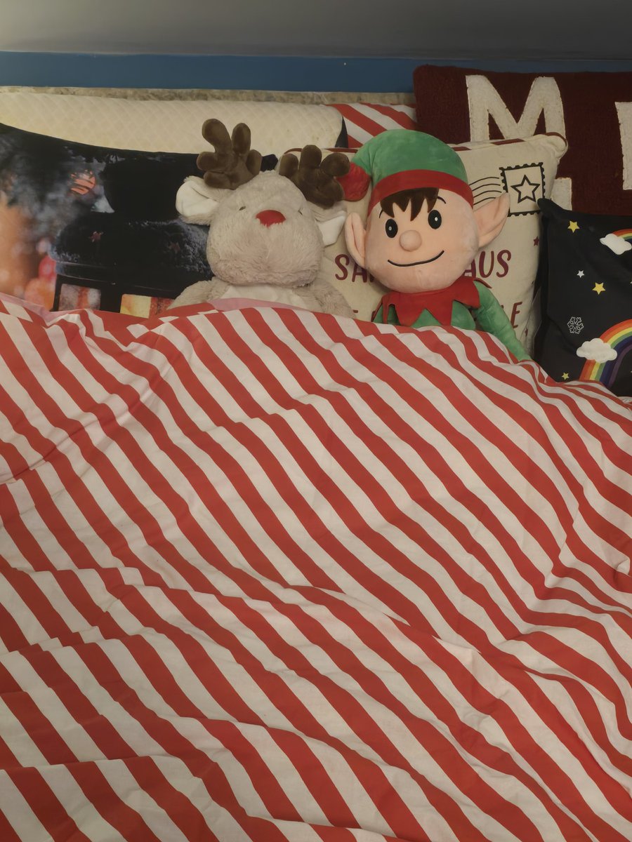 Merry Christmas from Roxie and Sparkle.  Thank you for following their advent adventures.