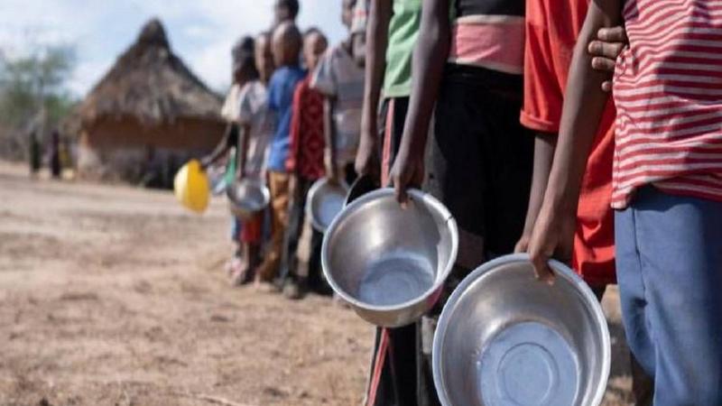 GulfTimes_QATAR's tweet photo. UN Chief alarmed by worsening #food_insecurity in #Sudan
https://t.co/Ydx4V6pIsl https://t.co/BwU79WjftA