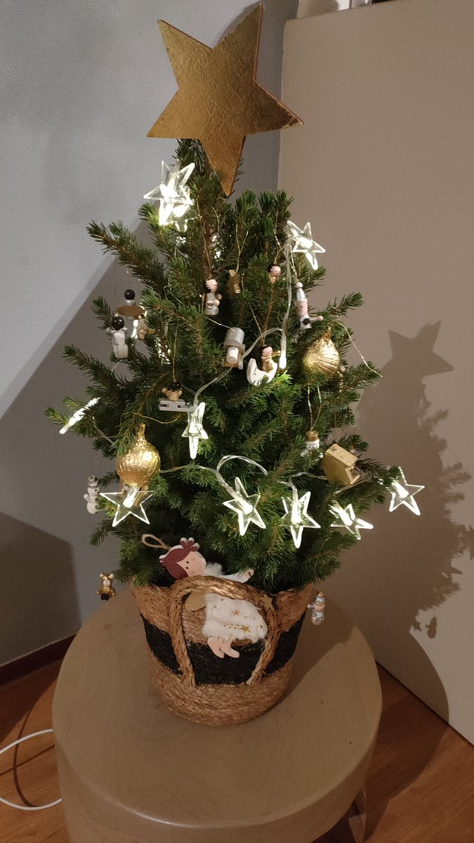 Henrike ter Horst 🩷🏳️‍🌈💜 tweet media