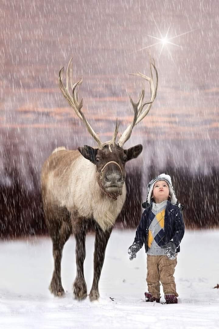 عيد ميلاد سعيد، سلام، نور، حب لكم ولأحبائكم 🙏🎊🎄🎁♥️