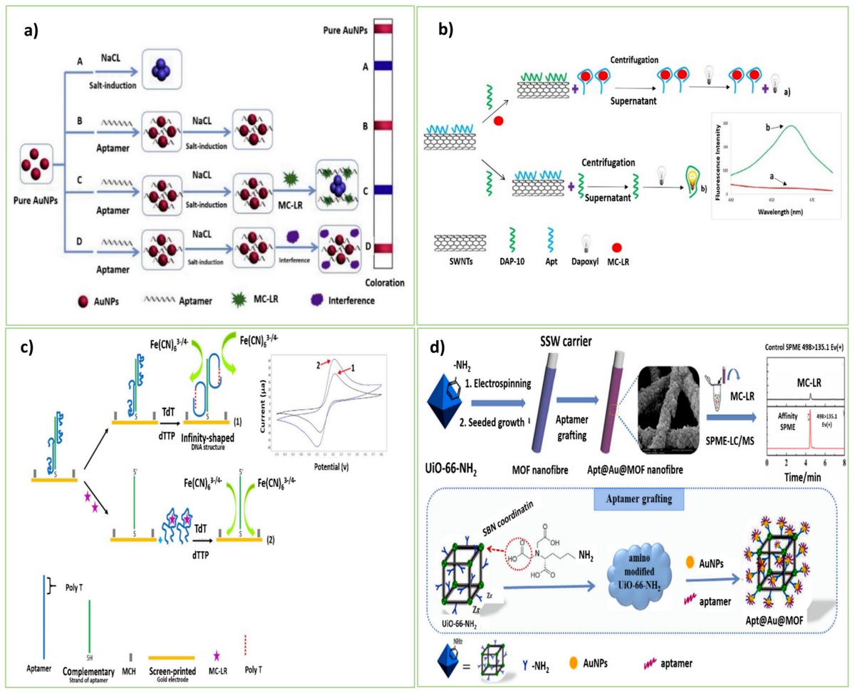 Biosensors_MDPI's tweet photo. #Review
Recent Advances in Aptasensing Strategies for Monitoring Phycotoxins: Promising for Food Safety
by Hamed Zahraee and Asma Verdian
https://t.co/YJIFErV4Si
@MDPIOpenAccess
@ChemMatSci_MDPI
#Aptasensing #Biochemical #Food #biosensors https://t.co/vH7zNLhBCX