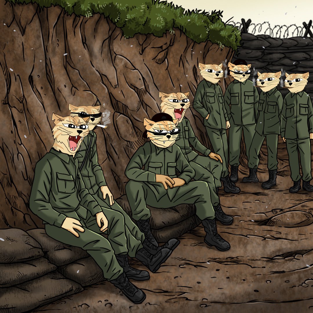 powsolanacoin's tweet photo. Guns ready, spirit ready... just waiting for Wi-Fi
get $POW

@cb_doge @michionsolana @MyroSOL @mew https://t.co/Wb9FwiWyjV
