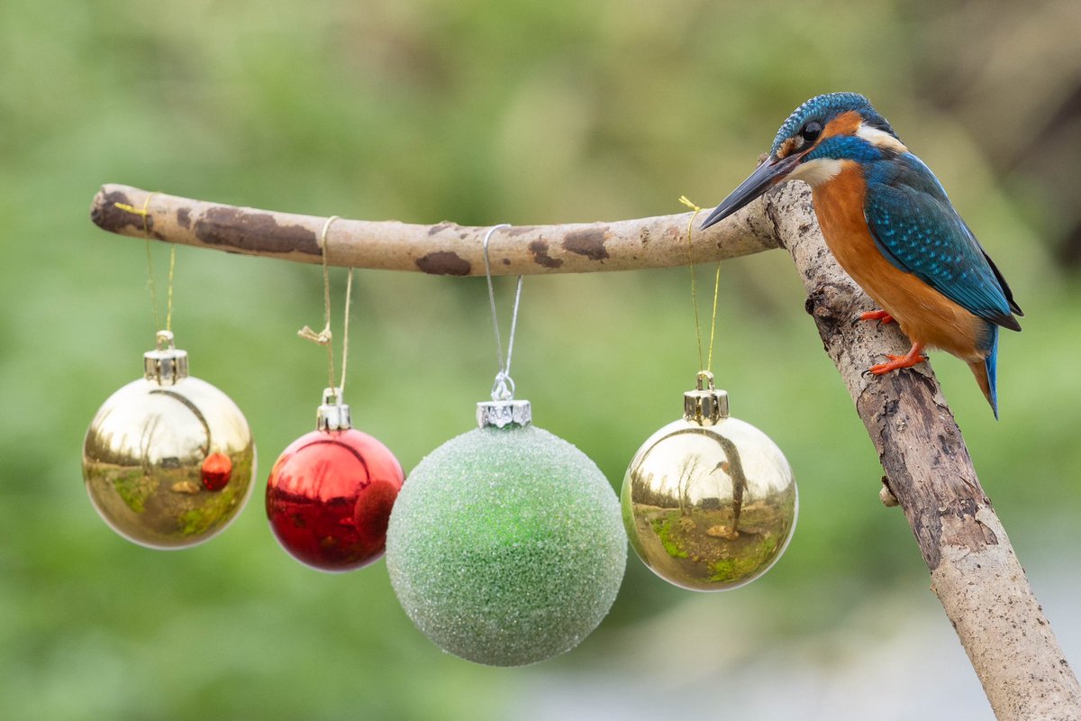 𝖢𝗅𝗈𝗌𝖾𝟤𝖱𝗂𝗏𝖾𝗋𝗌 tweet media