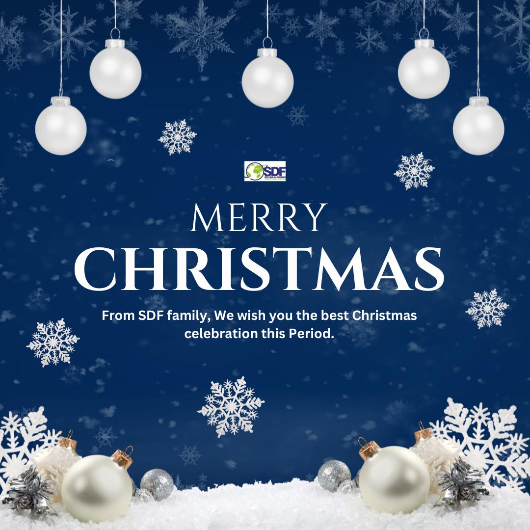 Warmest wishes from SDF!🎄🩵🔥

May this Christmas season bring you joy, peace, and love. May your heart be filled with the spirit of kindness, and compassion. 🎉🤍

From our SDF family to yours, Merry Christmas!

#MerryChristmas #SDF