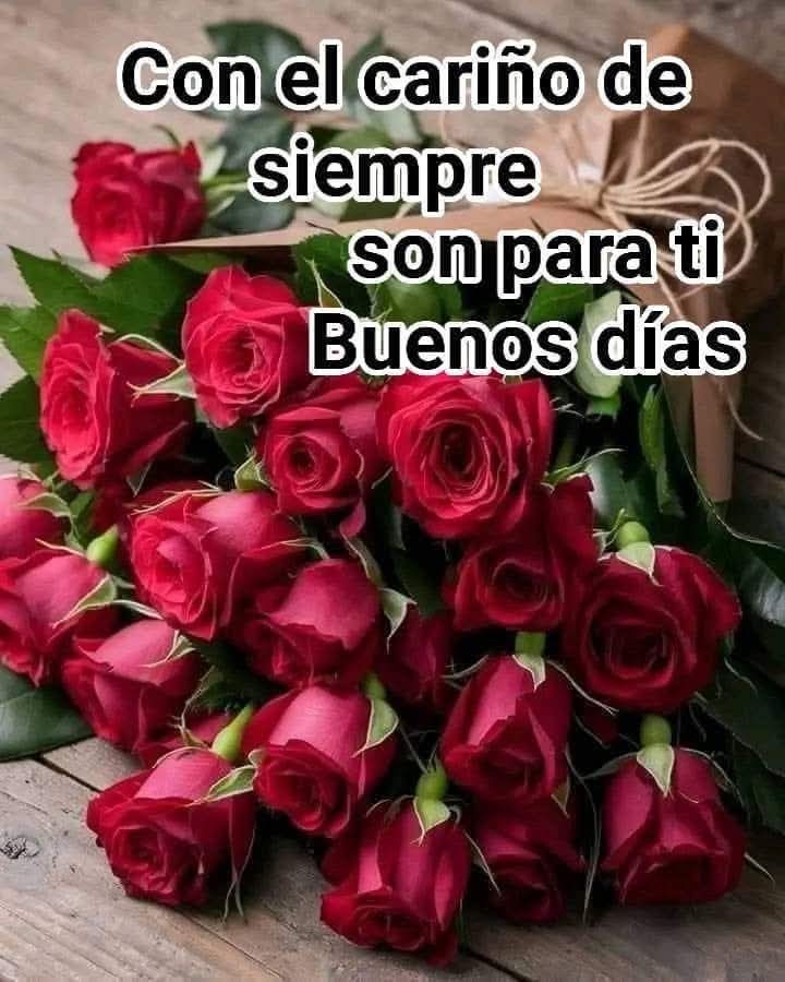 Maria Sierra Montes tweet media