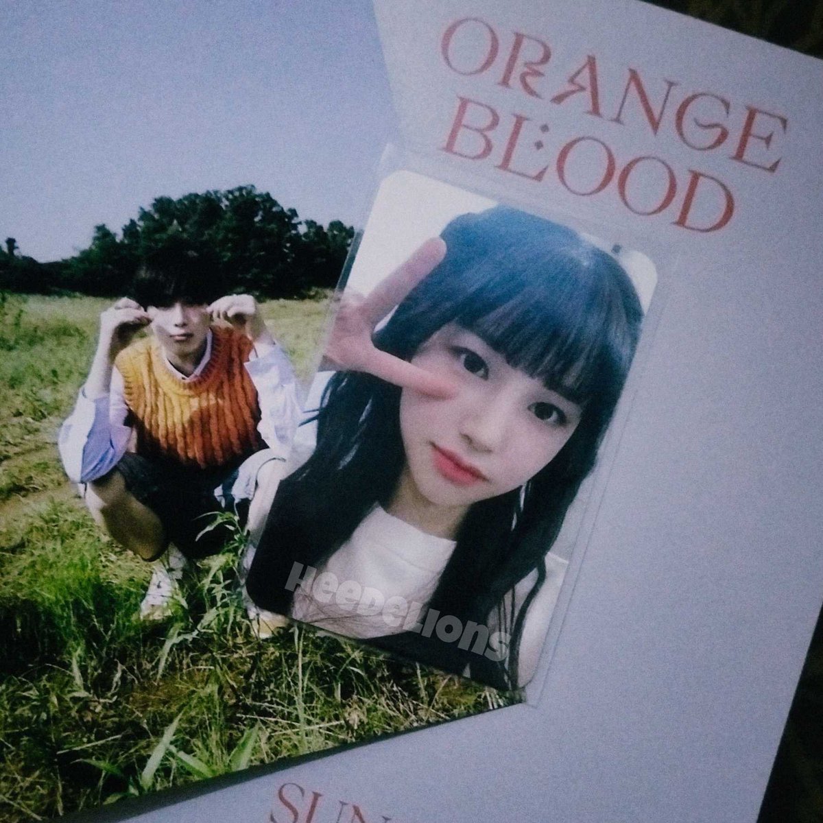 HEEDELIONS's tweet photo. #wts — want to sell pc jihan we play pob mihwadang

price : 200k (nego allowed)
🏡 dom karawang 
co 🍊 ya!

t. weeekly lfb photocard https://t.co/LaAKrZMBWz