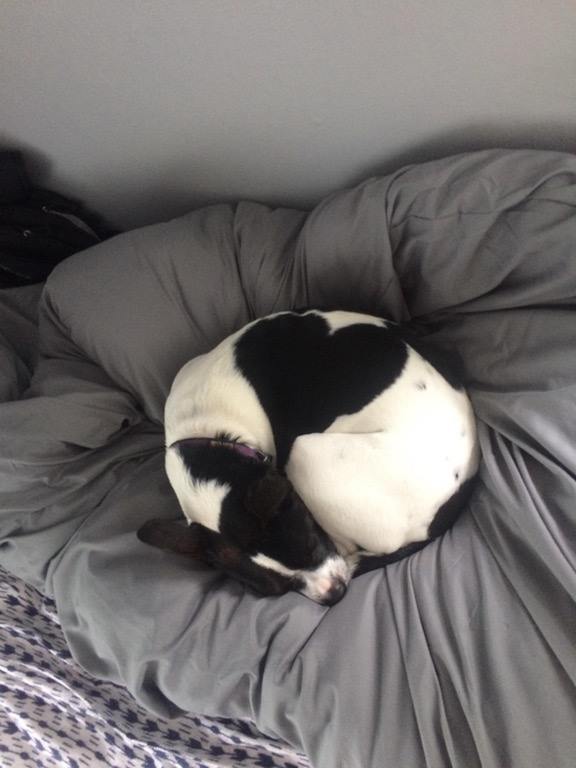 When she sleeps, her spots form a heart...