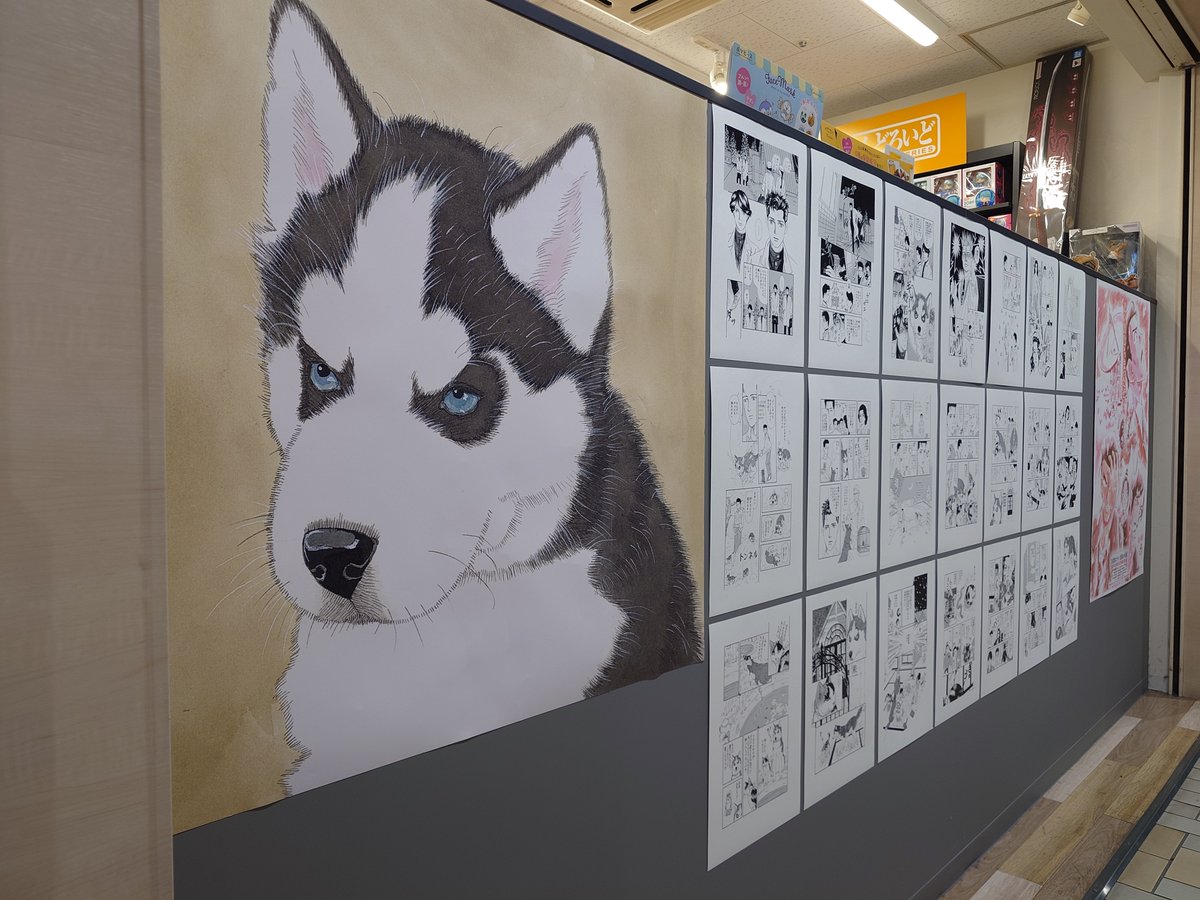 Kino_Comic's tweet photo. 夢が1つ叶いました https://t.co/kG9d2LaXpd