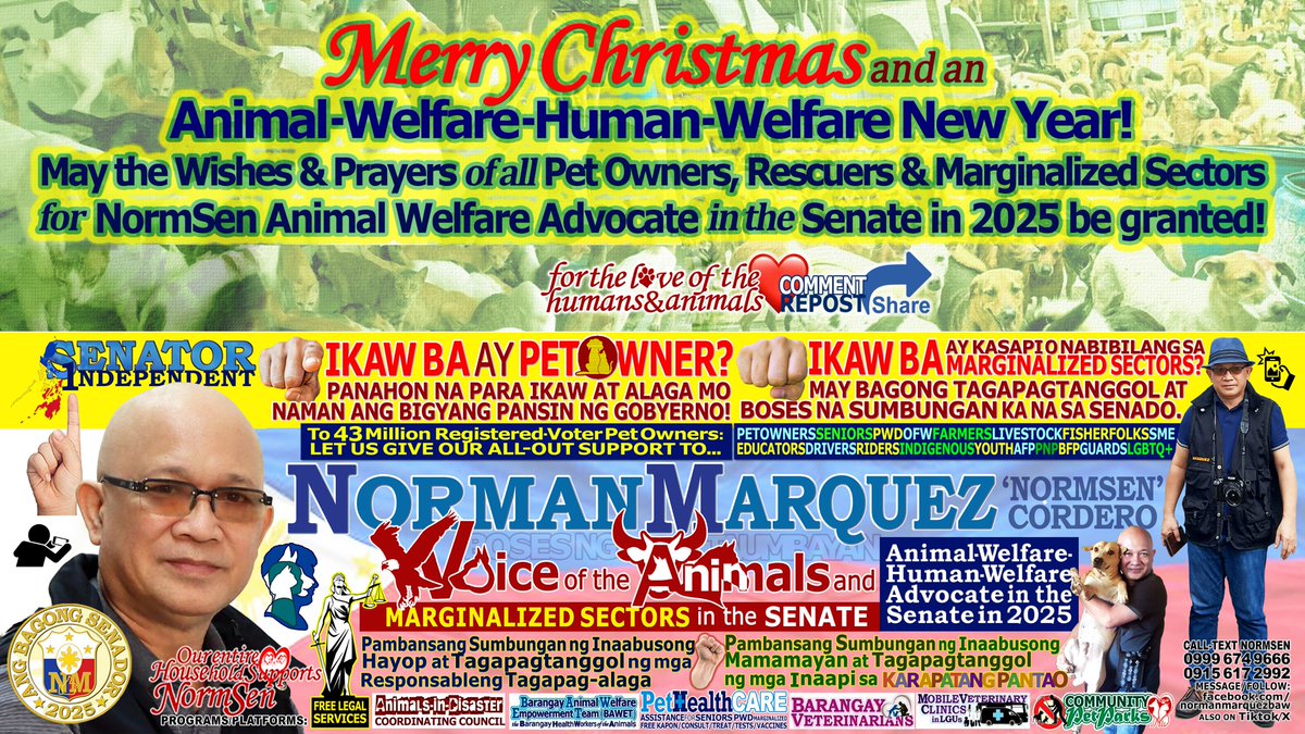 MERRY CHRISTMAS and an ANIMAL-WELFARE-HUMAN-WELFARE NEW YEAR!
May the Wishes &amp; Prayers of all Pet Owners, Rescuers &amp; Marginalized Sectorsfor  NormSen Animal Welfare Advocate in the Senate in 2025 be granted!
FOLLOW: vt.tiktok.com/ZS66x8HKL