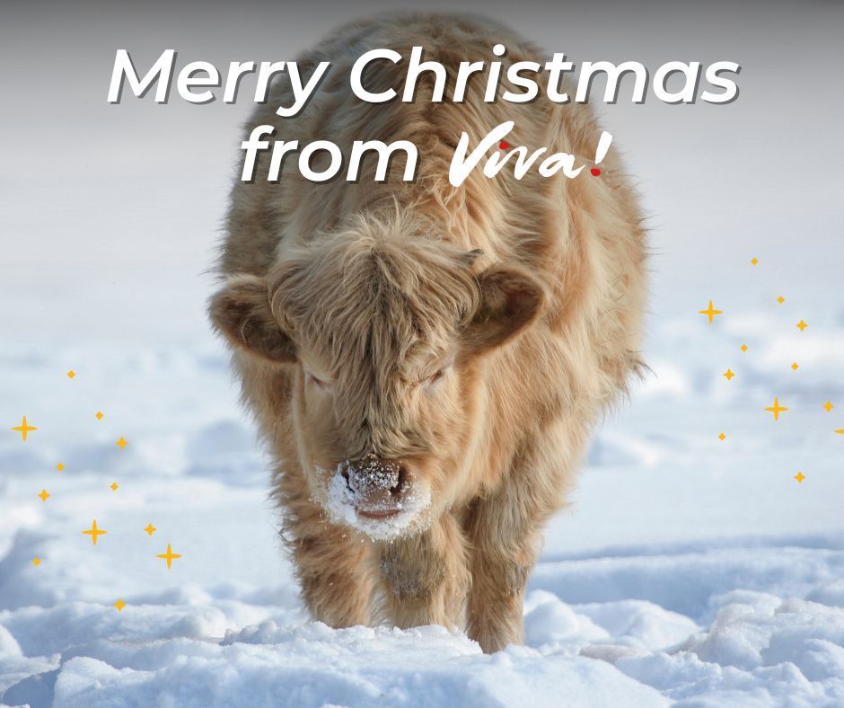 Merry Vegan Christmas! 💚 🎄 We hope you have a wonderful festive break and look forward to sharing our victories with you through 2025 🎉