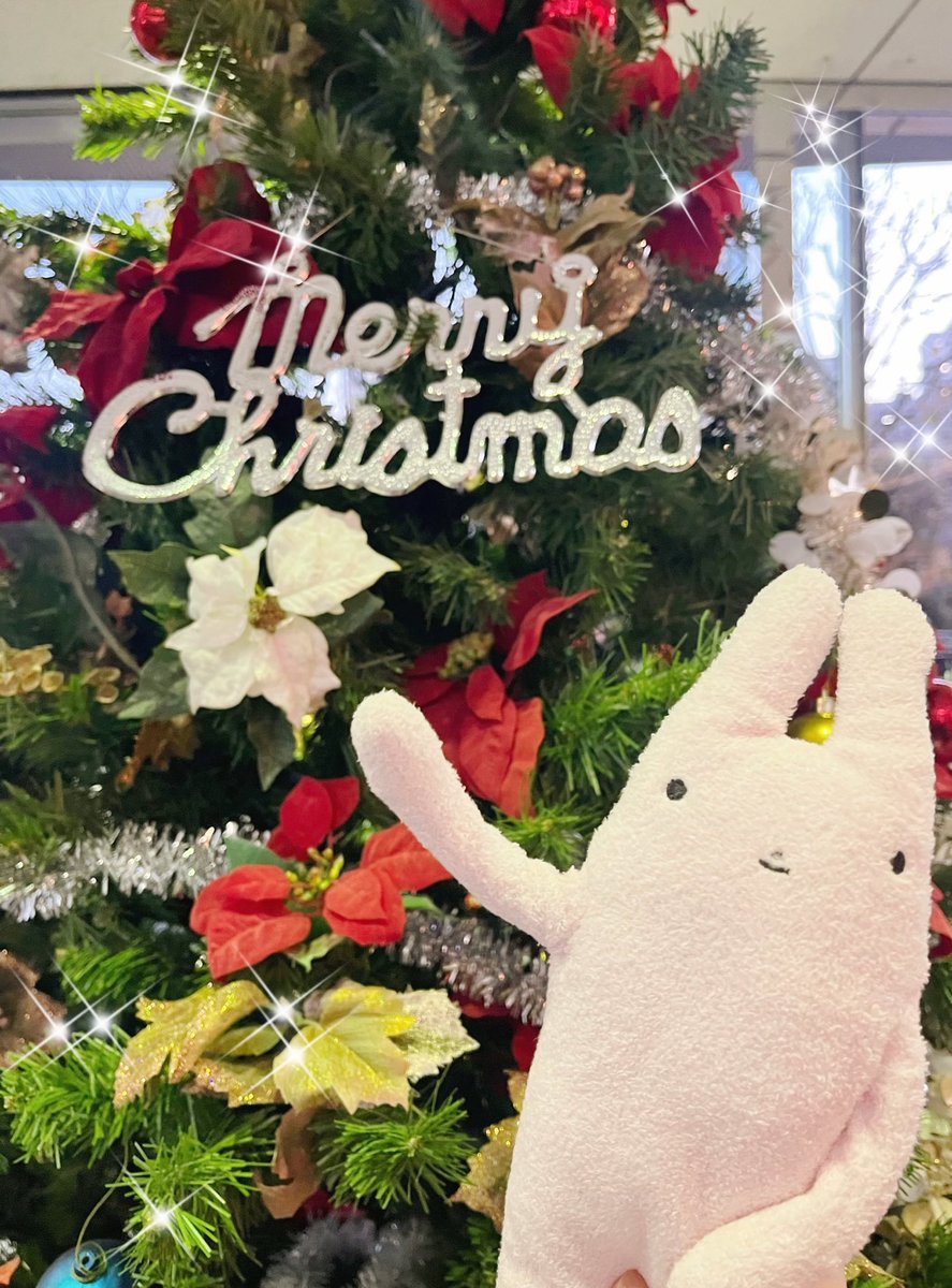 メリークリスマス🎄🎁⭐️

みなさんに幸せがたくさん降り注ぎますように💓

病院納めしてきました😊