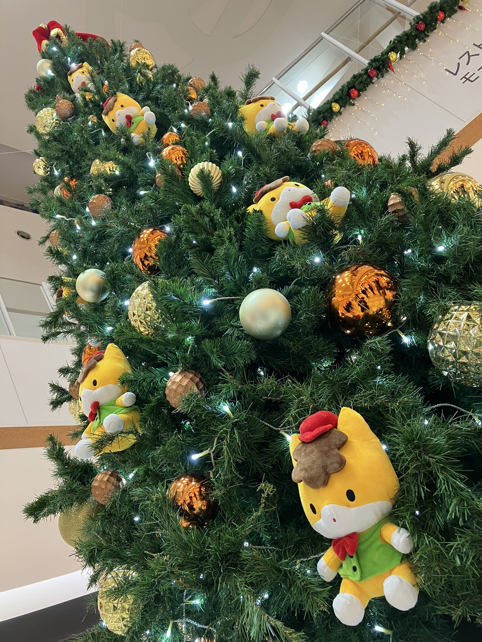 TOMY ポケットモンスター ヤドランのクリスマスツリー - アサミ