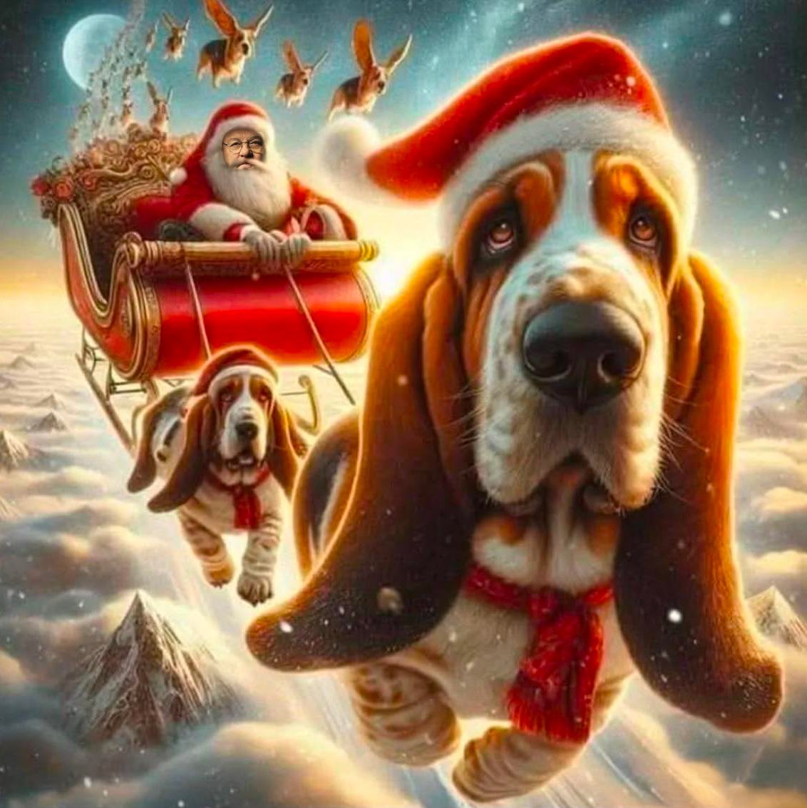 Buon Natale da Zucchero e Bardolino!
Merry Christmas from Zucchero and Bardolino!

#BuonNatale #MerryChristmas #Natale #Christmas