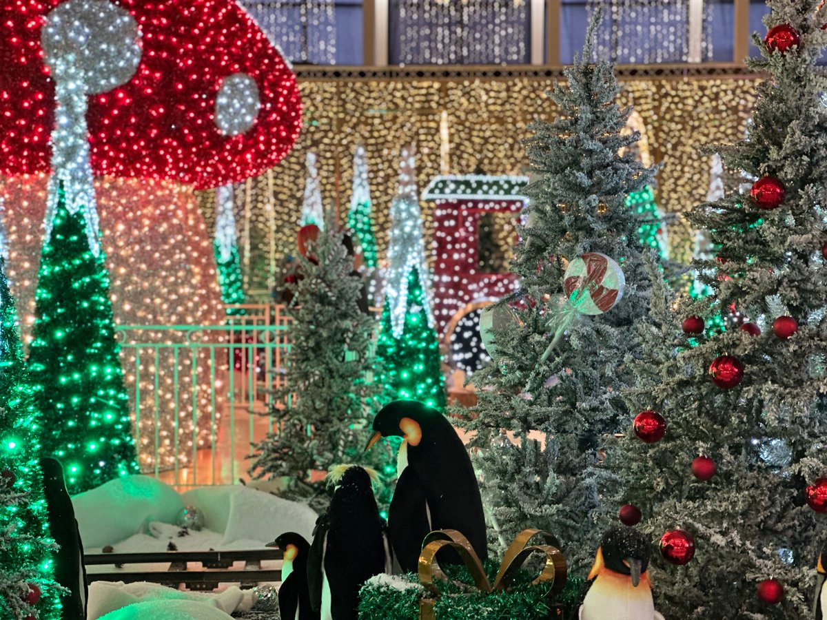 Wishing all our visitors a very Merry Christmas from all of us at centre:mk! 🦌🎄🌟 

Just a reminder that we are closed today and will reopen tomorrow 9am - 6pm.🛍️ Please check our website for individual store opening hours, as some stores are closed: ow.ly/QGAf50UwohA