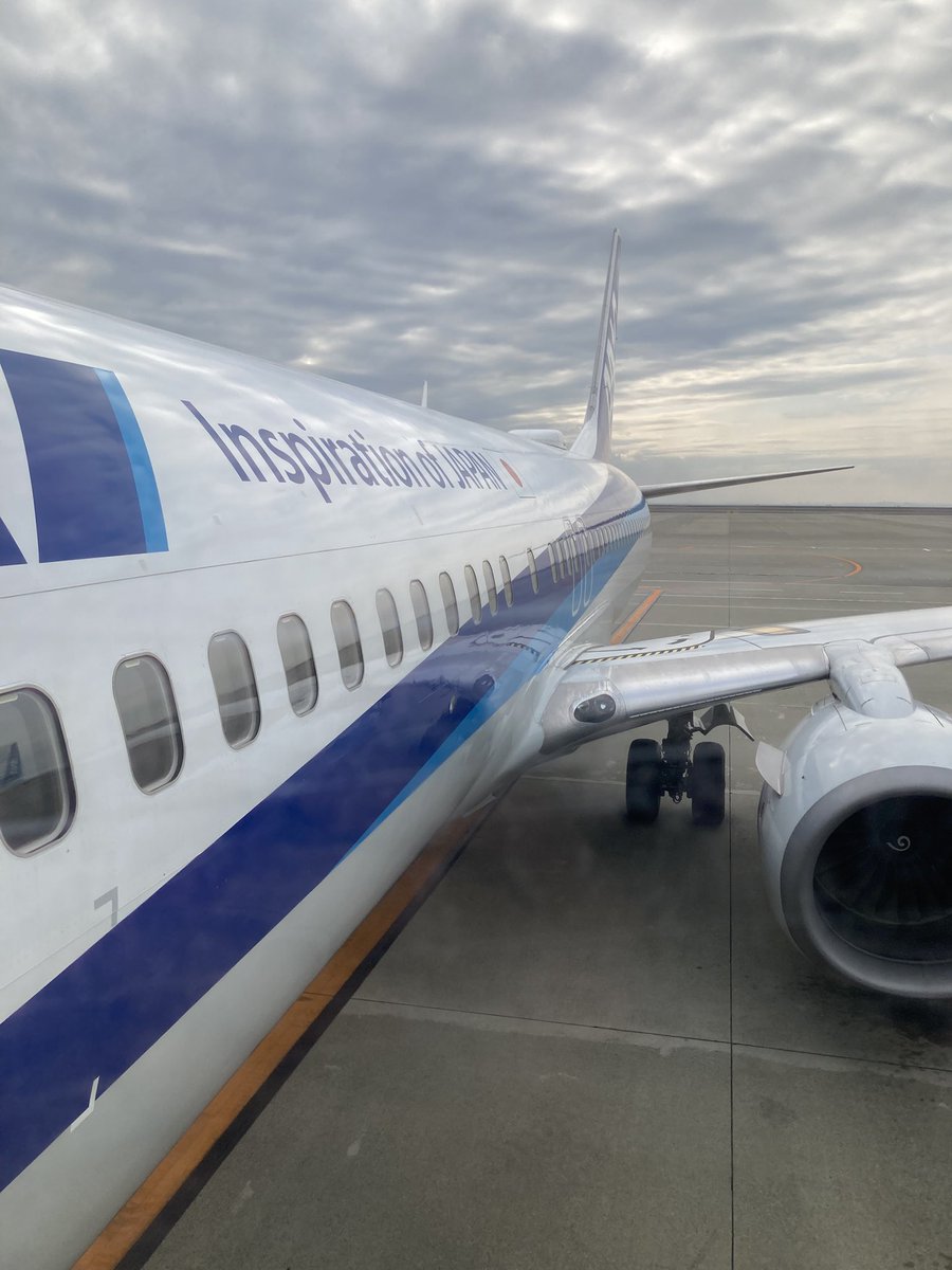 yahikotaro's tweet photo. 2024/12/21
今年の飛行機乗り納め(多分)
NH494 NGO→NRT
737-881 JA71AN https://t.co/J2n20MBdu7