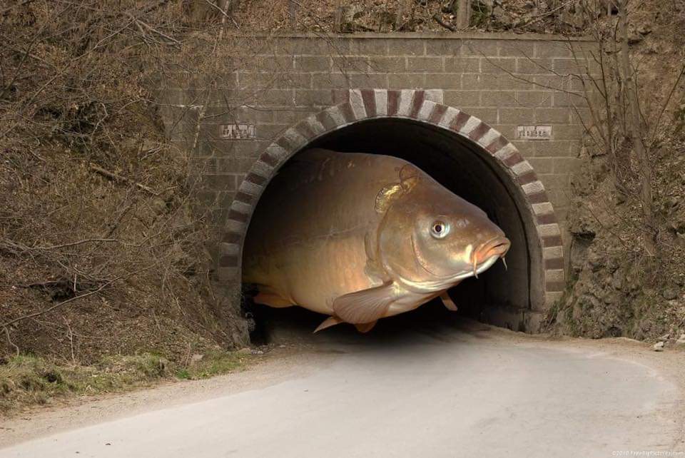 TeresaMelani12's tweet photo. Tunnel carpale https://t.co/9QAMmbEAQD
