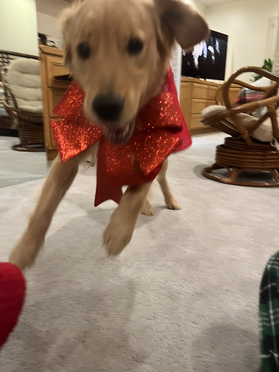 Merry Christmas Fintwit