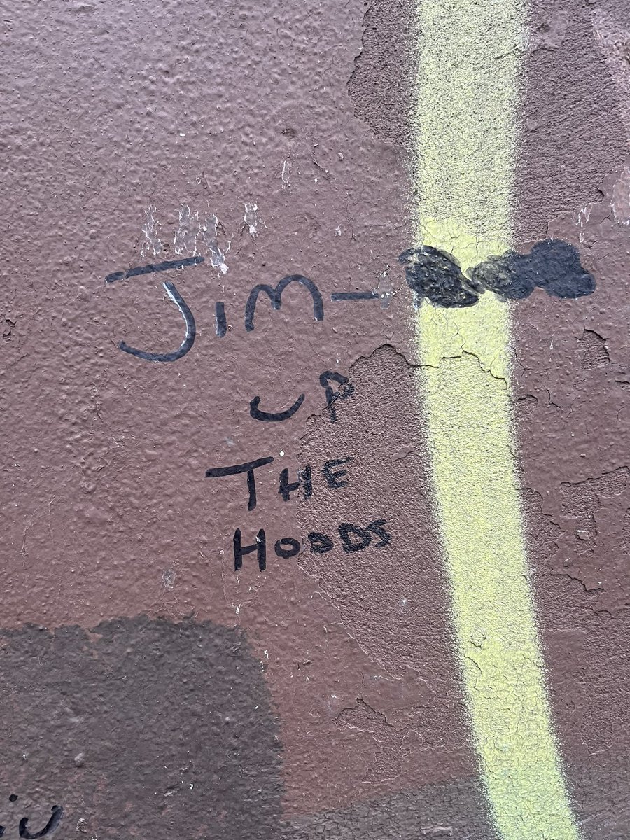 Amanda Ferguson tweet media