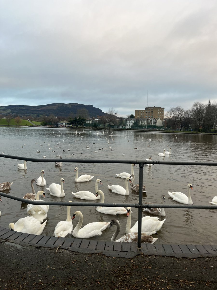 Amanda Ferguson tweet media