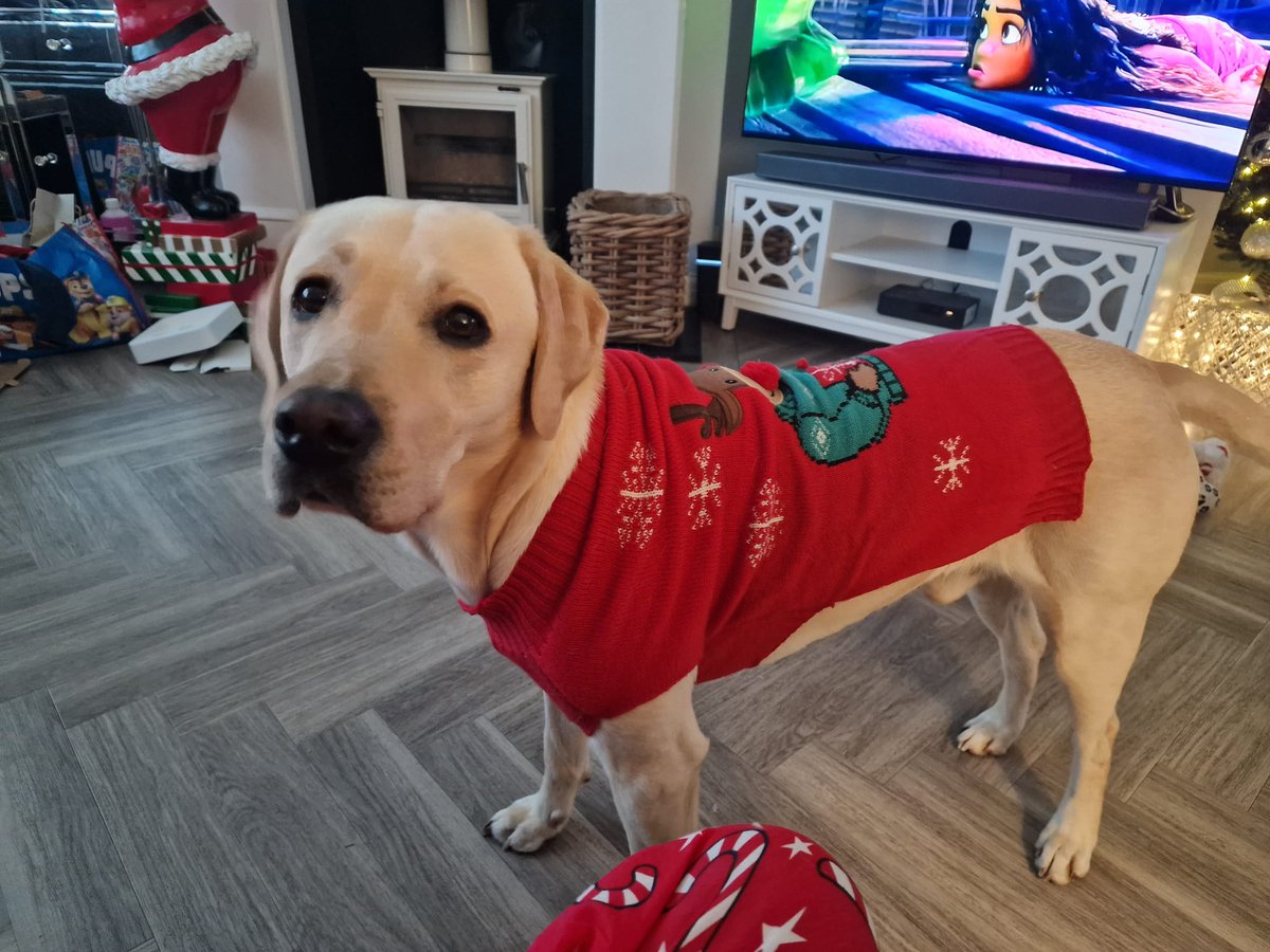 BillDice Gaming tweet media