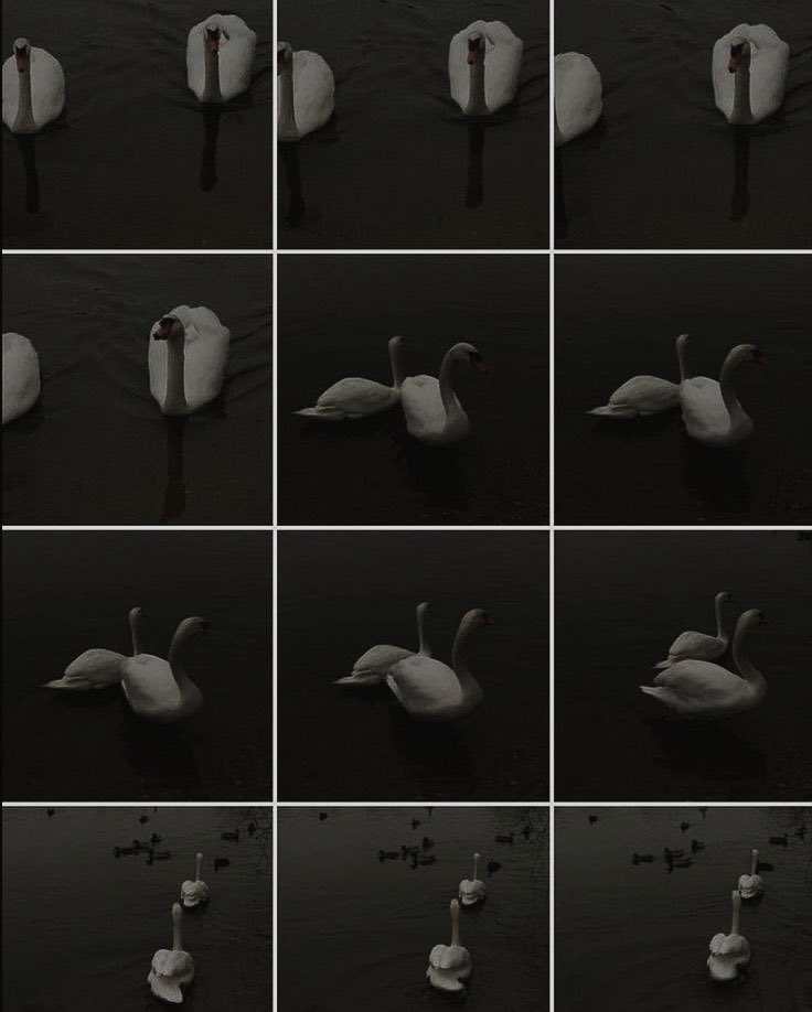 ⠀⠀✶  궁금해?  cause I'm that girl.