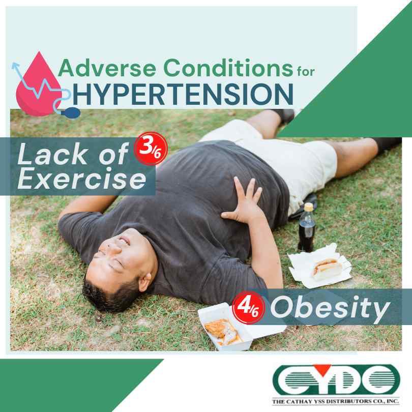 CathayYSS's tweet photo. Our lifestyle definitely has a big impact on our high blood pressure. So we press forward with our "Adverse Conditions for Hypertension" infographic series. 💚 #CathayYSSCares https://t.co/iDQs5CAv7a