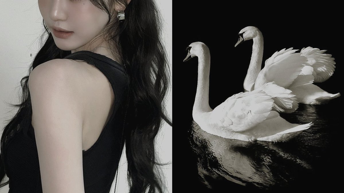 ( 耎 ) 、┈┈    𝗧𝗠𝗜 : “재미있는 거 시도 중!”