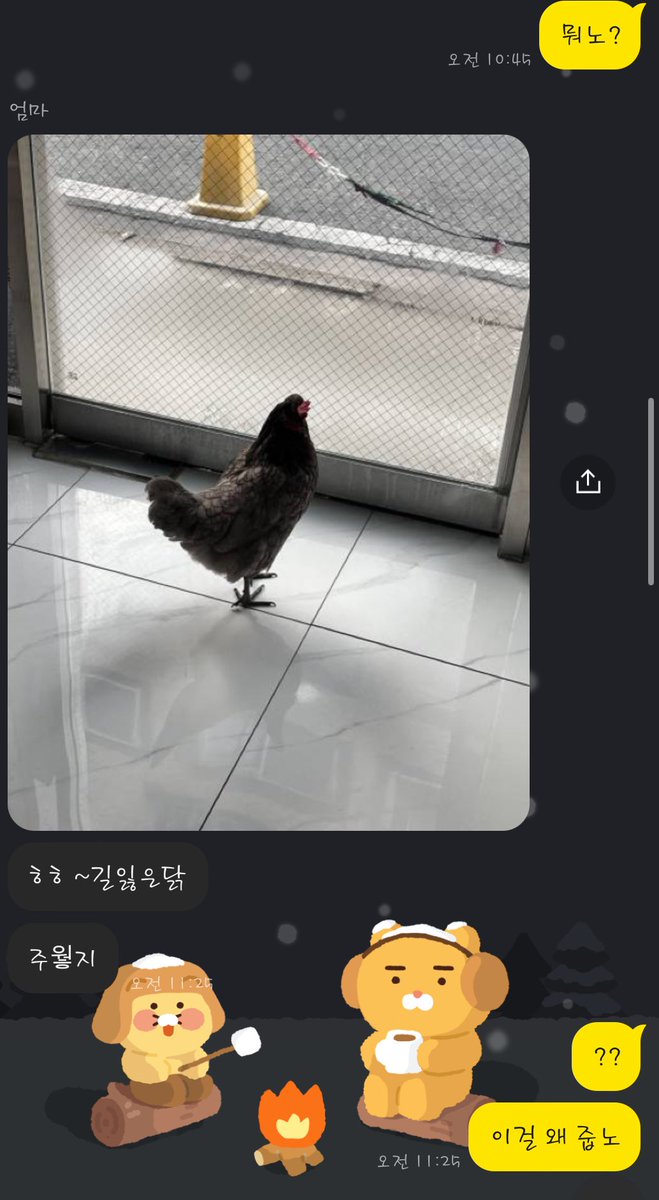 _sunxxxo_'s tweet photo. ☀️テオくんのお母さん鶏拾ったらしい‍ｗｗｗ寒くて震えてたから連れて帰ってきたって‍ｗｗｗ (119番して消防職員の方が連れてってくれたって🦃) https://t.co/6UnI7IRv8M