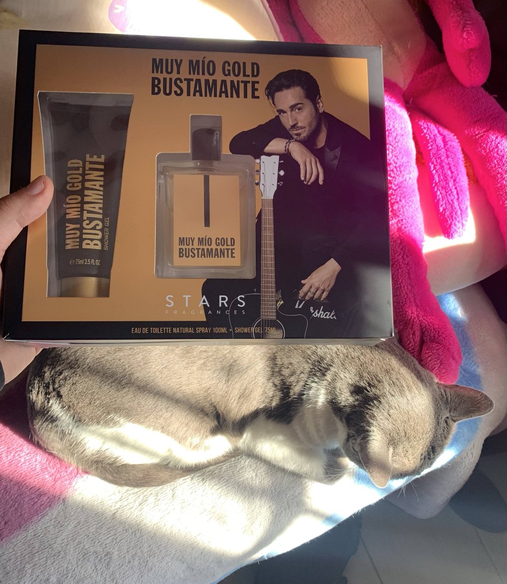 Forocoches tweet media