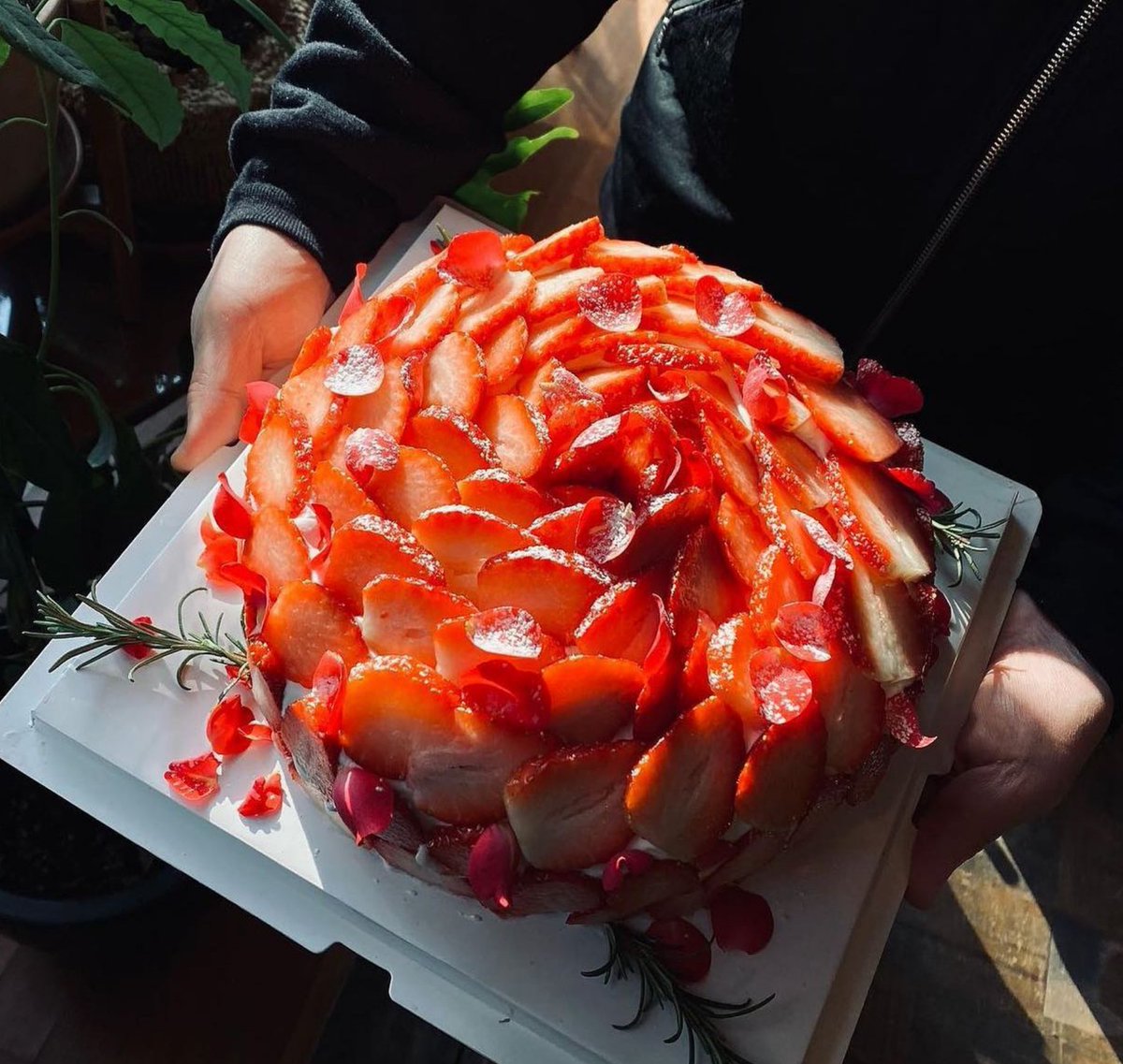 tissue__ffxiv's tweet photo. 여자 셋이서 이거 한 판 먹고 간다고 전화예약했더니

직원: ??..누구 생일이셔서 드시고 가시는거죠?
나: ??아녀.. 그냥 먹고 싶어서요
직원: ?
나: 그냥 먹고 싶어서요. https://t.co/siyQmipULG