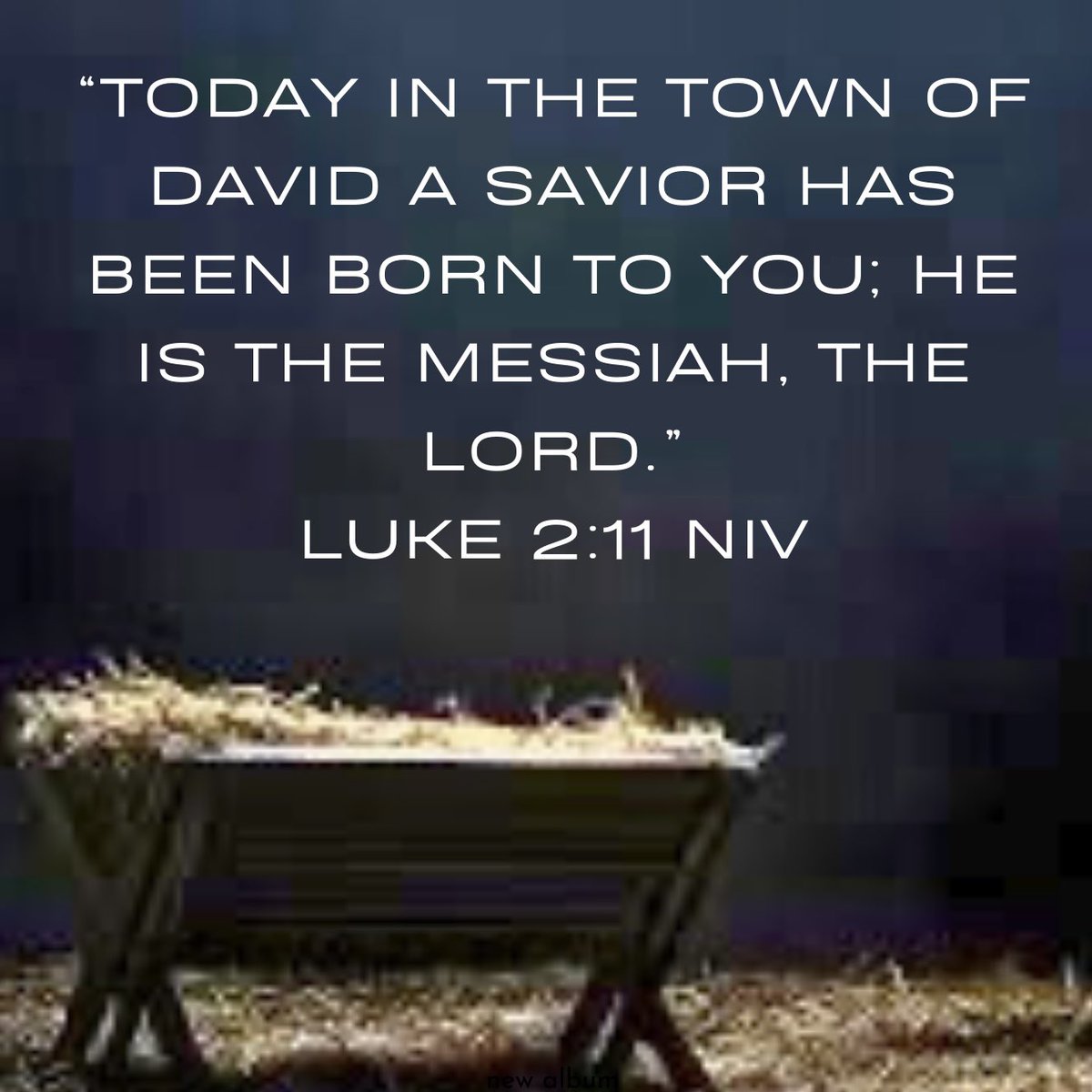 “Today in the town of David, a Savior has been born to you; He is the Messiah, the Lord.”
Luke 2:11

Wishing you peace, joy, and the hope of His love as we celebrate the birth of Jesus Christ, our Lord and Savior. May this Christmas and the New Year be filled with His blessings!