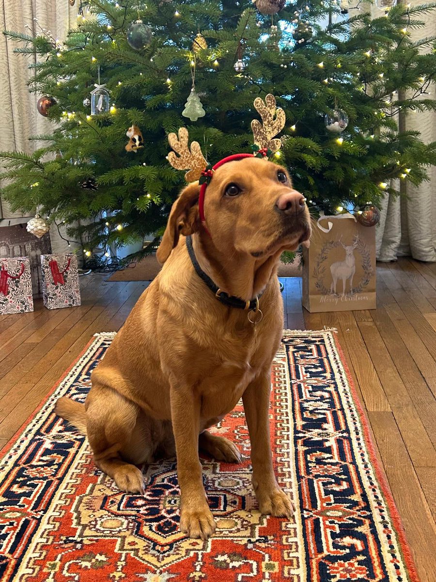 Rishi Sunak tweet media