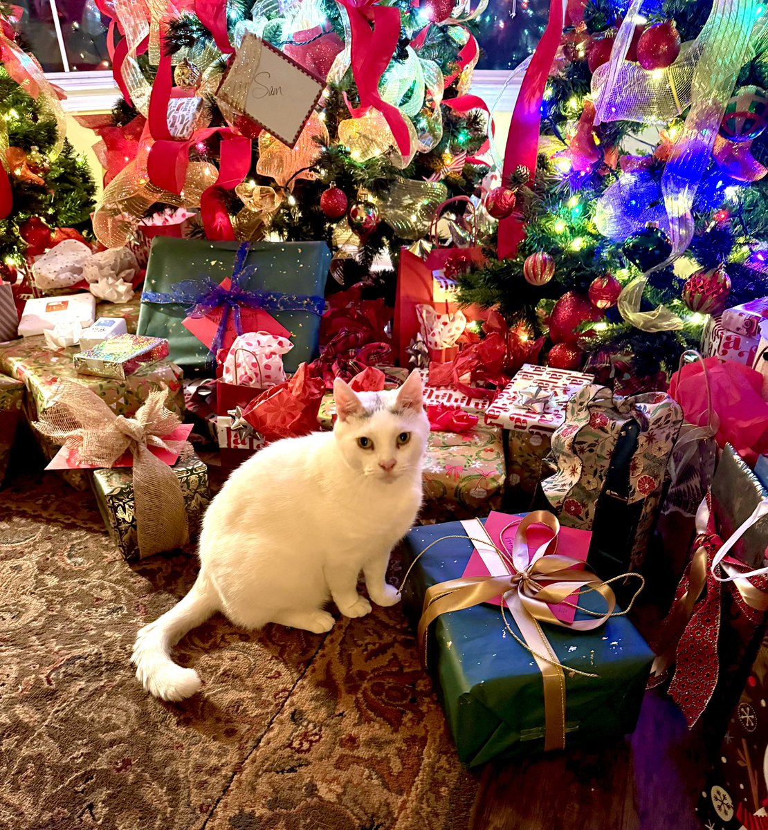 Dede Willingham tweet media