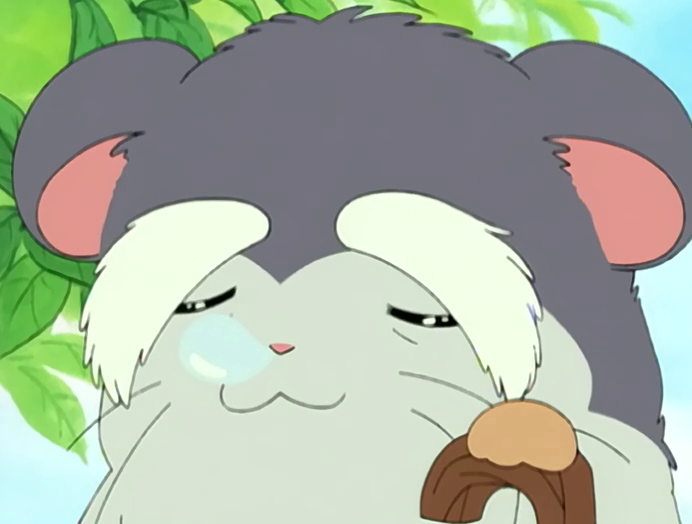 ハム次郎 Us hamsters don't live beyond 3 years old, usually. So how old is