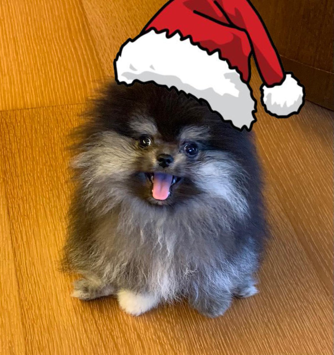 Bobaoppa tweet media