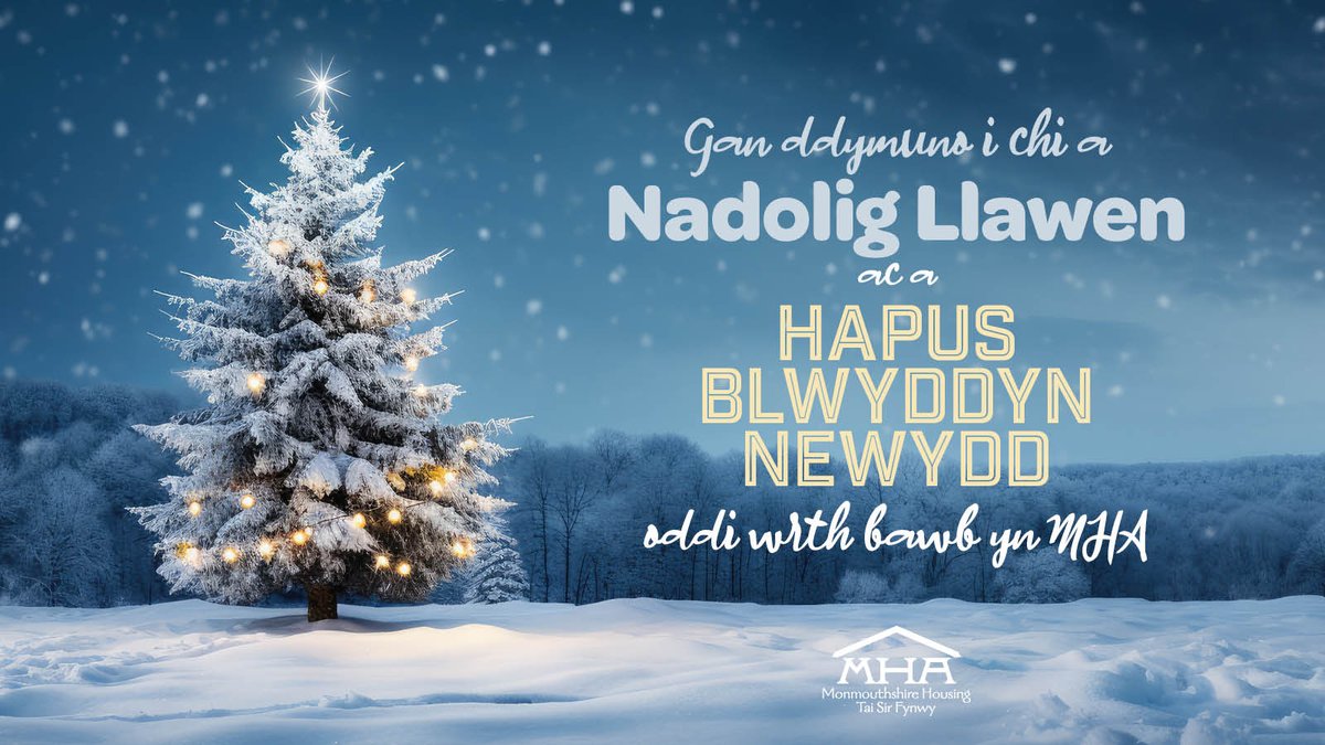 Hoffem dymuno Nadolig Llawen a Flwyddyn Newydd Dda i'n holl gwsmeriaid a phartneriaid gwych! 🎄🎅🥳