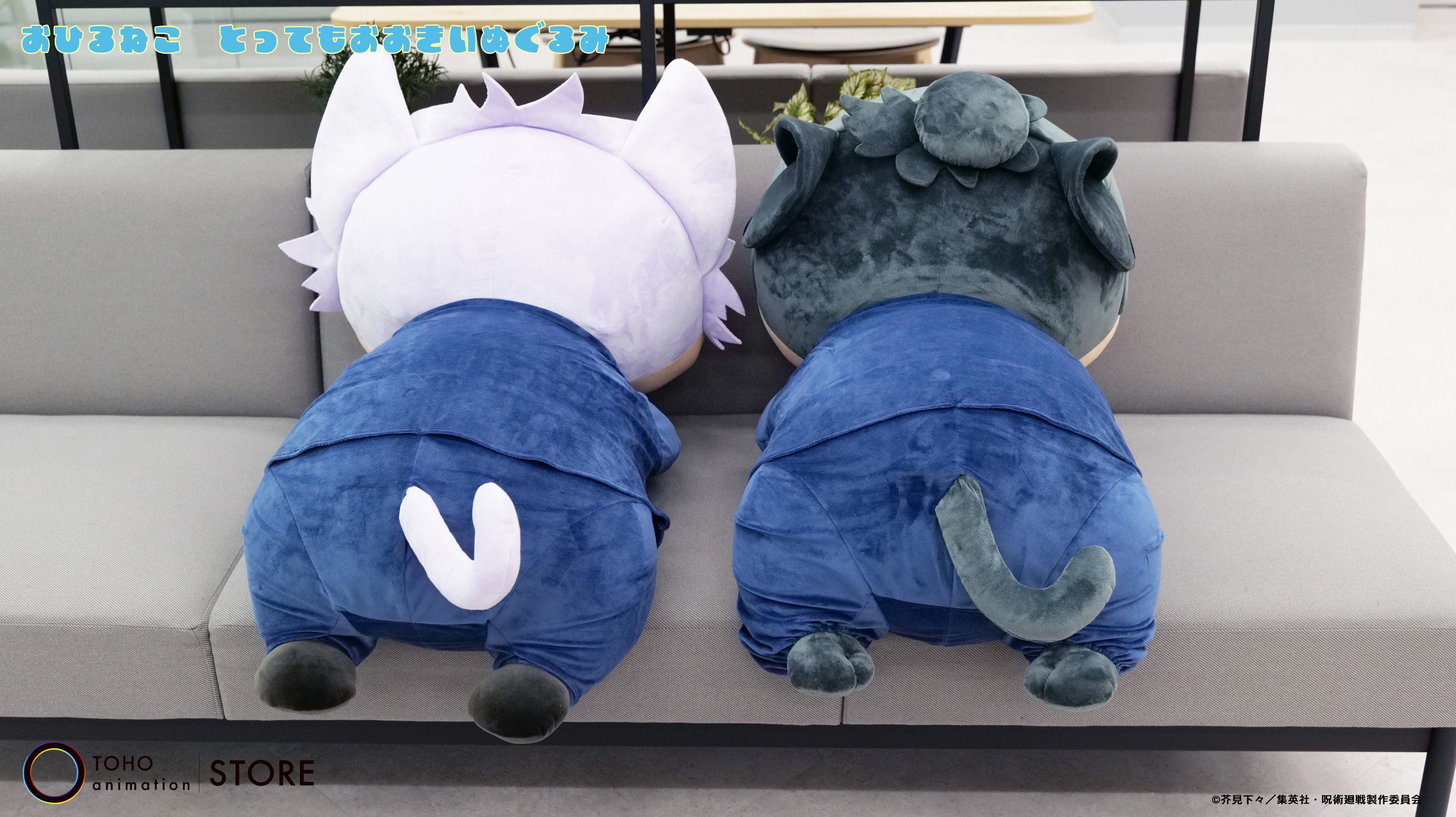 TOHO animation STORE on X: 