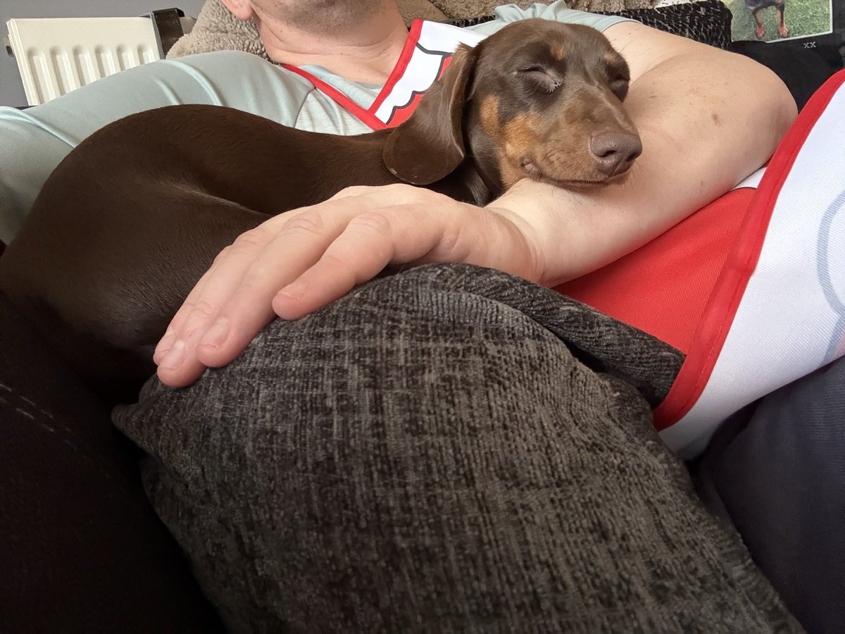 This dickhead, all apologetic coz she’s ripped through presents during the night and has probably been eating make up, she nearly ended up being shipped to Korea first class, with a sign saying 날 먹어 and now she’s fell asleep on me so I can’t move and keep me bird moist