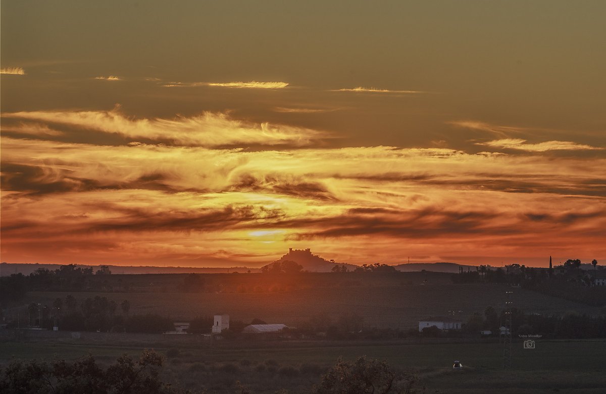 Pedro Mengual tweet media