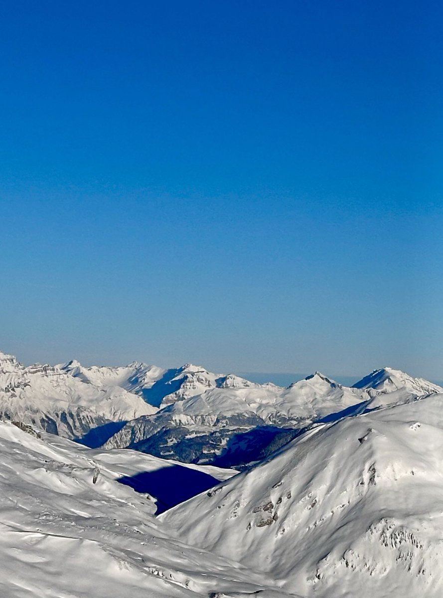 Katrin Crameri tweet media